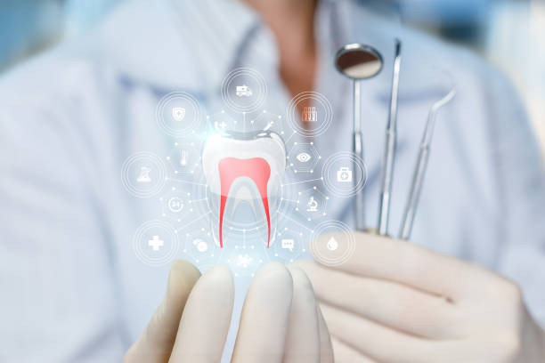 Professional Holistic Dental Care Services in Southworth, WA