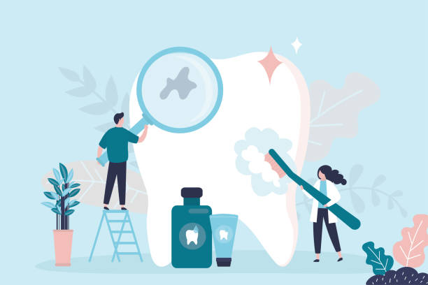 Professional Holistic Dental Care Services in Southworth, WA